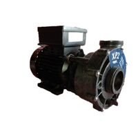 Aqua-Flo® XP2 1.5hp 2-Sp Pump