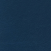 Custom Australian Made Swim Spa Cover up to 4.8M - Marine Blue