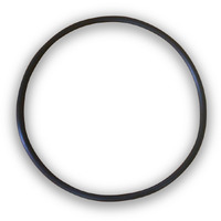 Davey Spa Quip® Classic / SP500 Heater Element O-Ring 