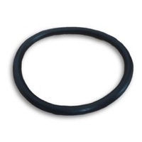 Davey Spa Quip®  SP1000 Heater O-ring